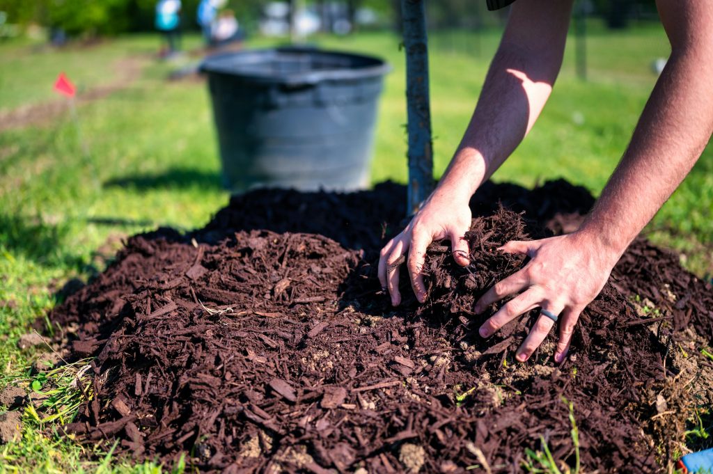 Seasonal Gardening - Compost