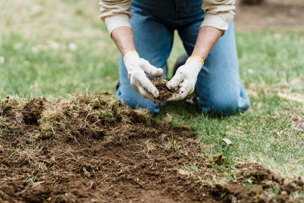 Seasonal Gardening - Preparing soil