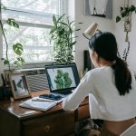 Top 8 Best Low-Maintenance Indoor Plants for Busy Homeowners