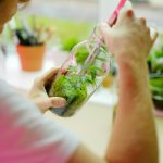 How to Start a Sustainable Garden: Composting, Water Conservation, and Native Plants – in 5 Step